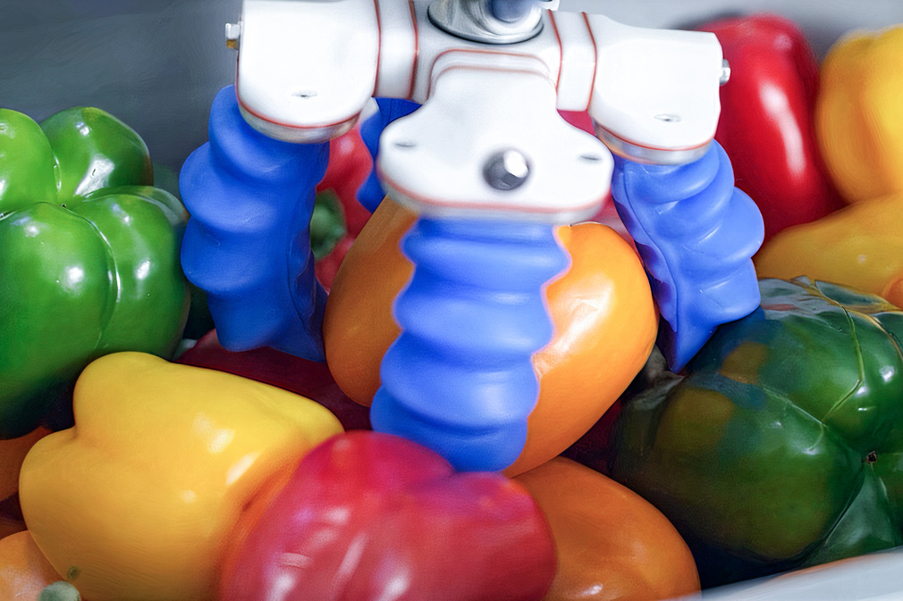 The high hygiene suitability of the mGrip product family allows for applications such as handling fruit and vegetables.