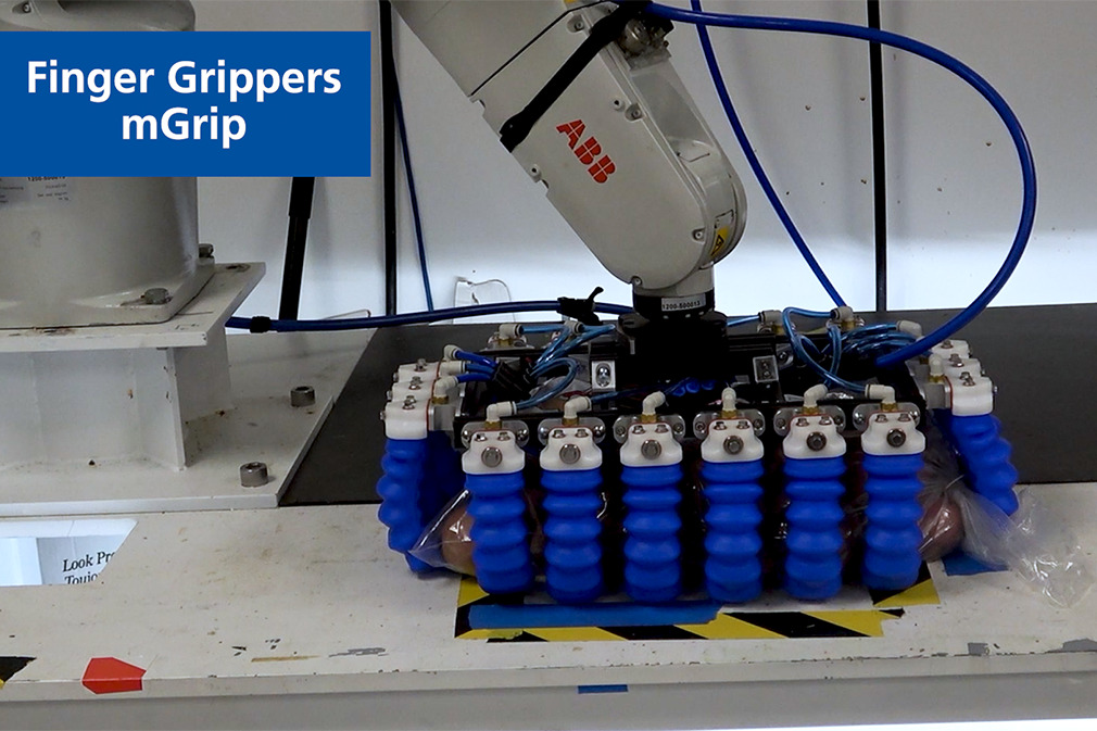 Pick and Place of Potato Bag Using the Finger Gripper mGrip