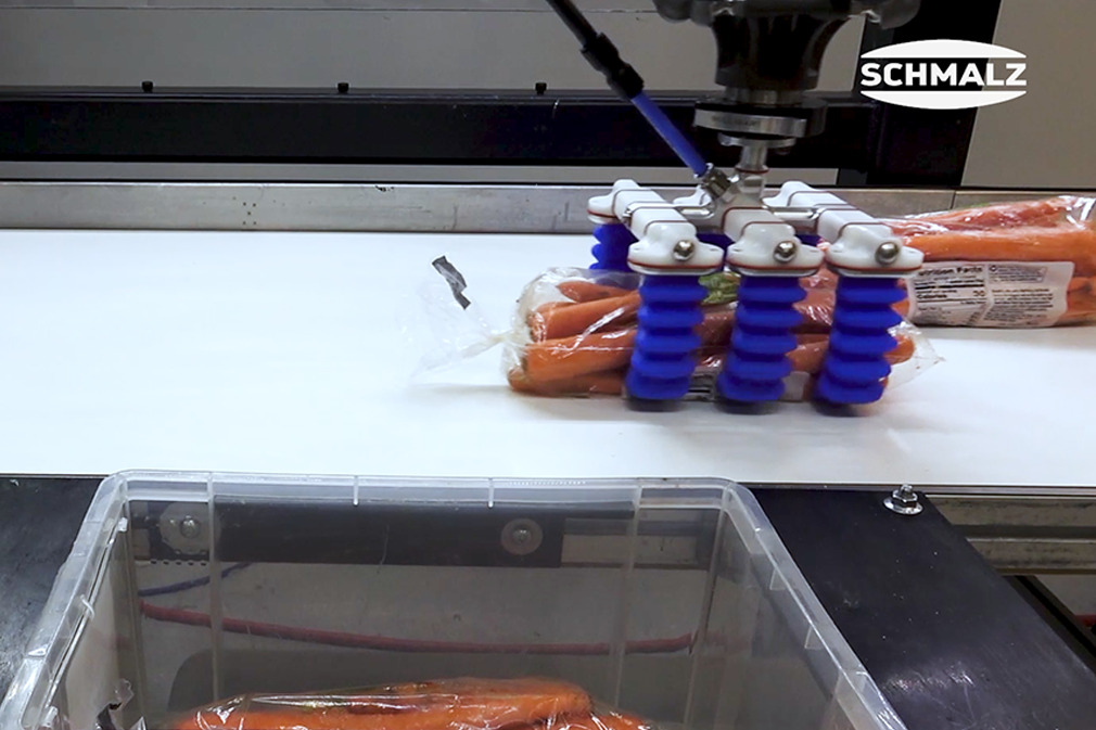 Pick and Place von Karotten in Säcken mit dem Fingergreifer mGrip