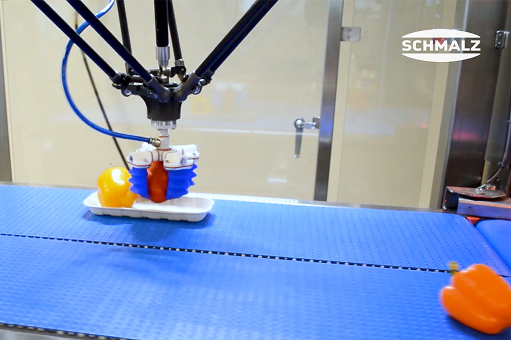 Pick and Place of Peppers Using the Finger Gripper mGrip