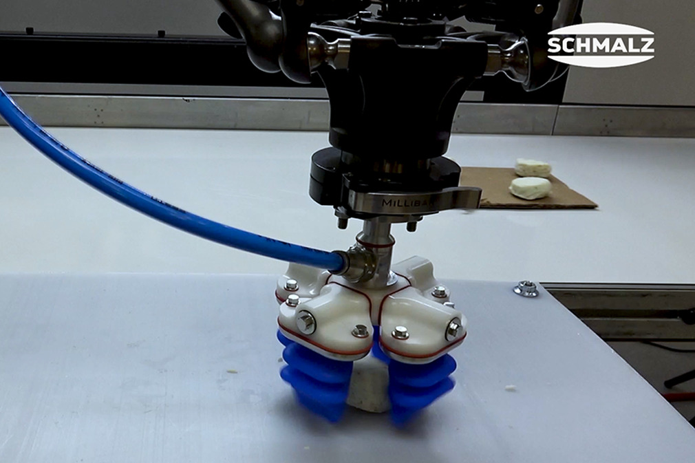 Pick and Place of Goat Cheese Using the Finger Gripper mGrip