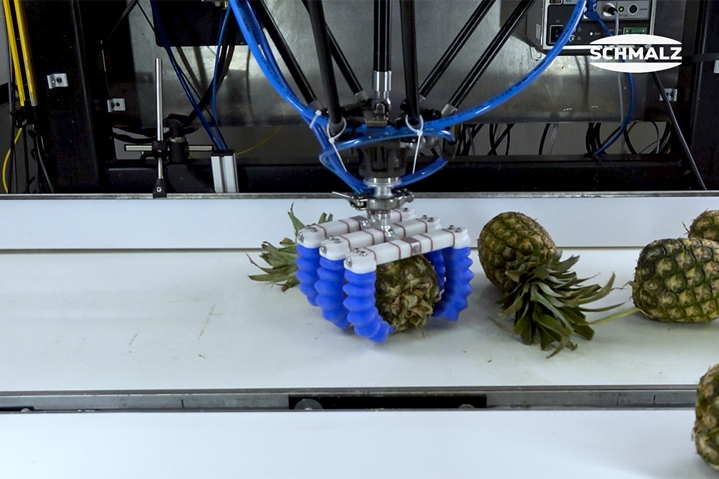 Ananas picken en plaatsen met de vingergrijper mGrip