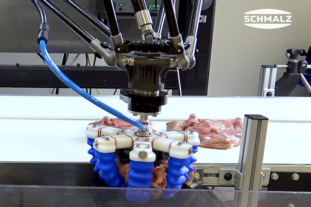 Pick and Place of Turkey Thighs Using the Finger Gripper mGrip