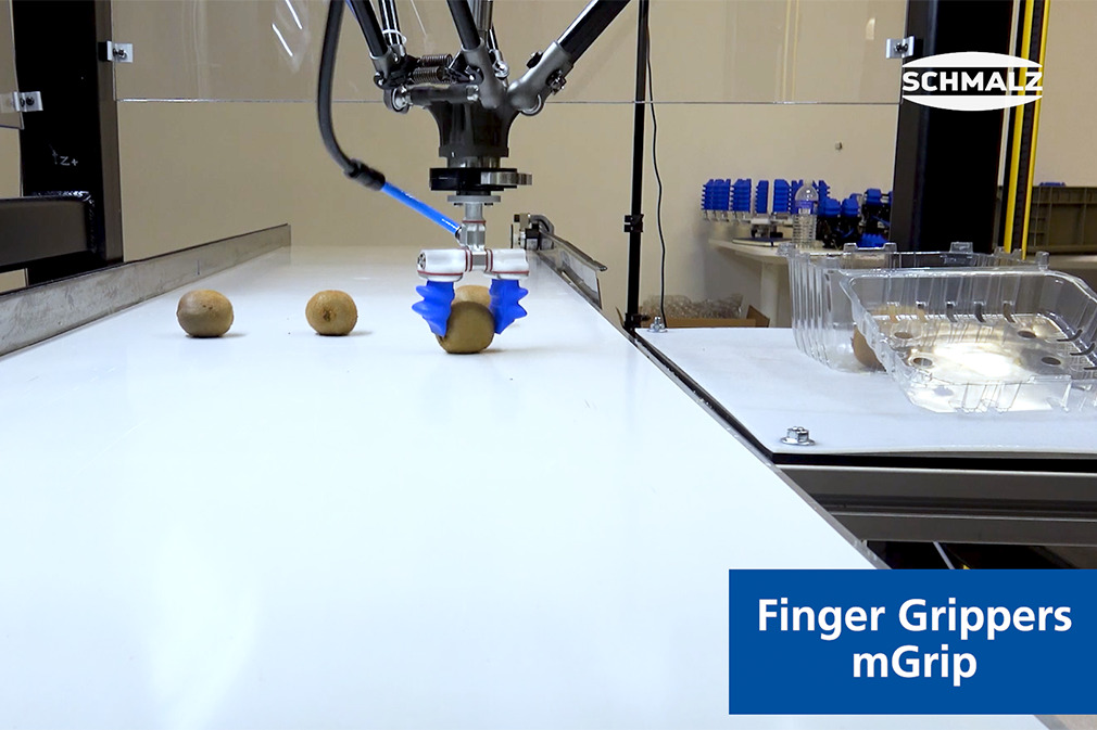 Pick and Place of Kiwi Using the Finger Gripper mGrip