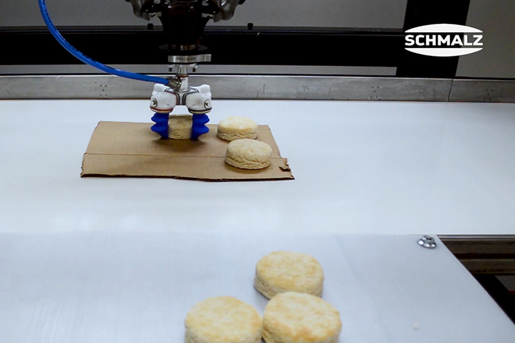 Pick and Place of Biscuits Using the Finger Gripper mGrip