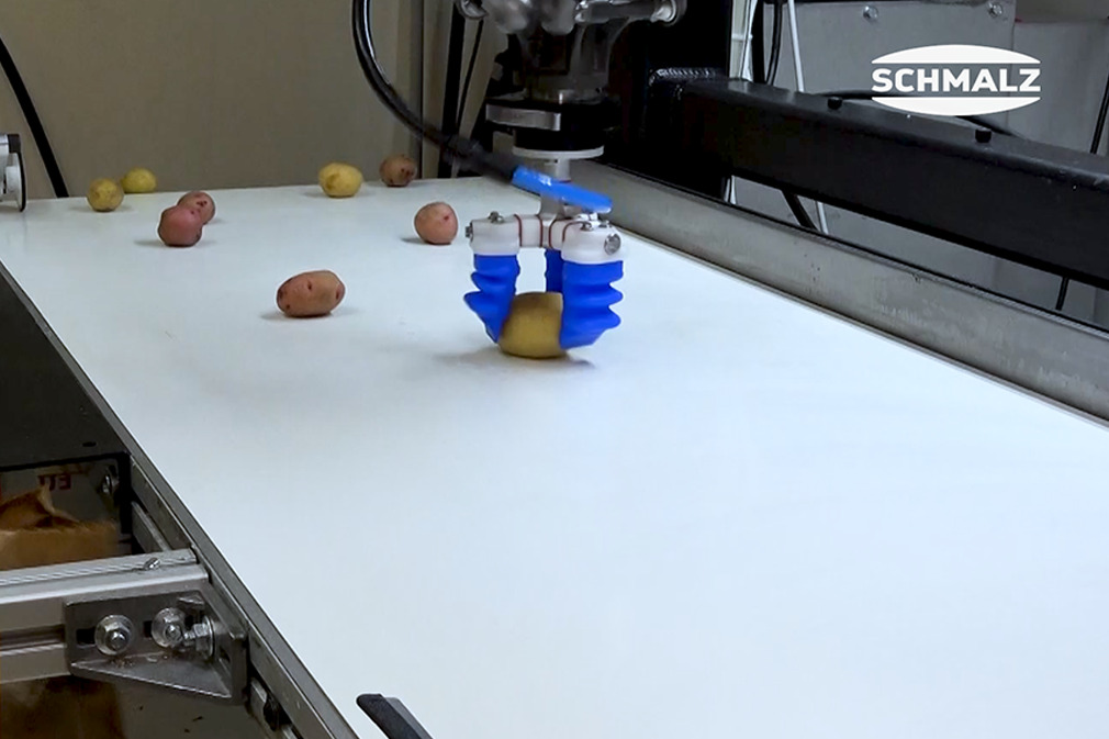 Préparation et placement des pommes de terre à l'aide du préhenseur à doigts mGrip