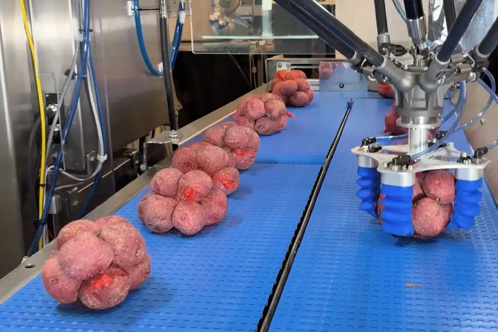 Pick and Place of Potatoes in Mesh Bags Using the Finger Gripper mGrip Basic - 3126