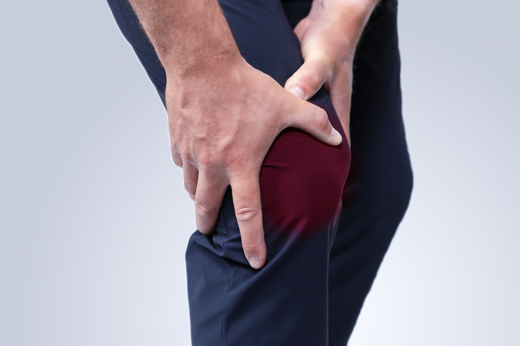 Knee