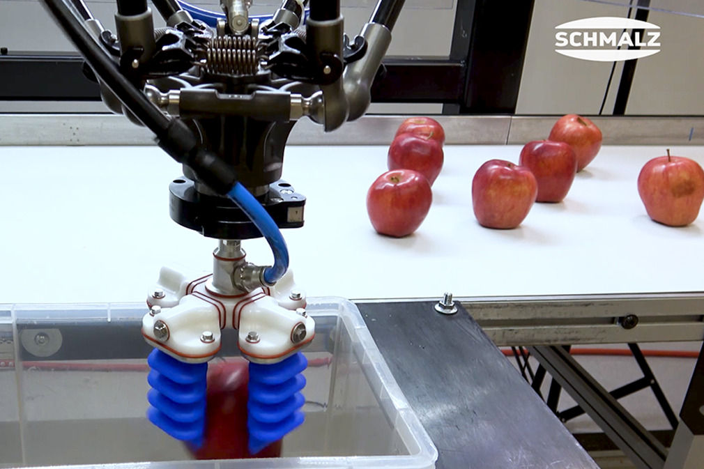 Pick and Place of Apples Using the Finger Gripper mGrip